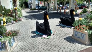 Black swan decorations