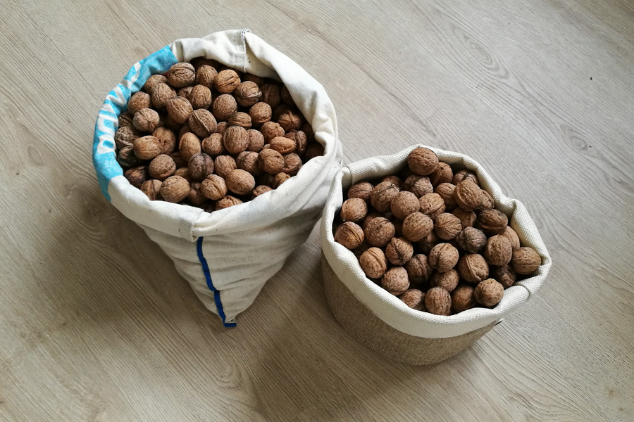 Just some of my 5kg crop of foraged walnuts from the Foret Dothe in Burgundy, France