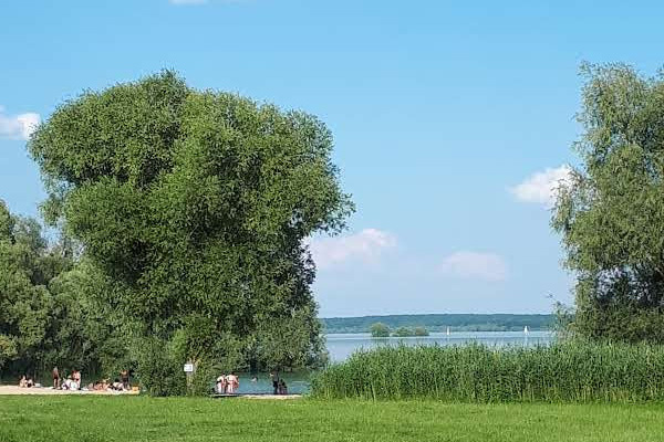 Enjoy a lovely view of Lake orient at Mesnil-Saint-Pere